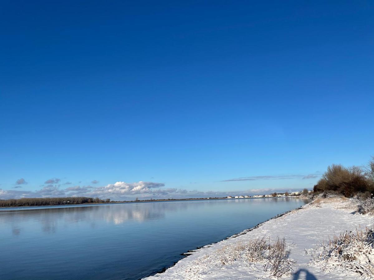 In - Nahe Salzhaff & Ostsee - Mit Gartenterrasse *